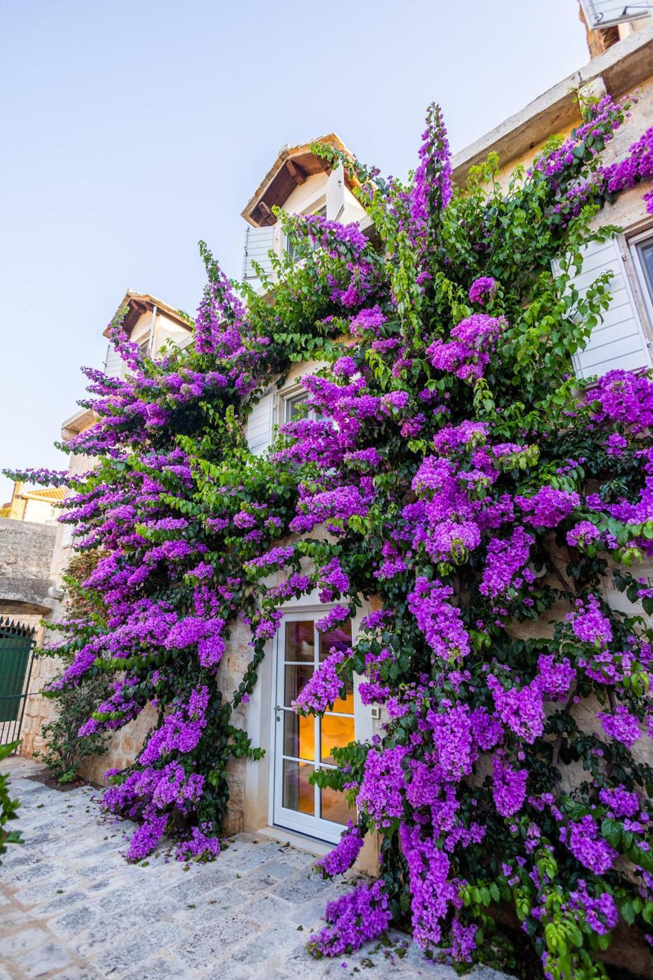 Hotel Lemongarden - Adults Only Sutivan Buitenkant foto
