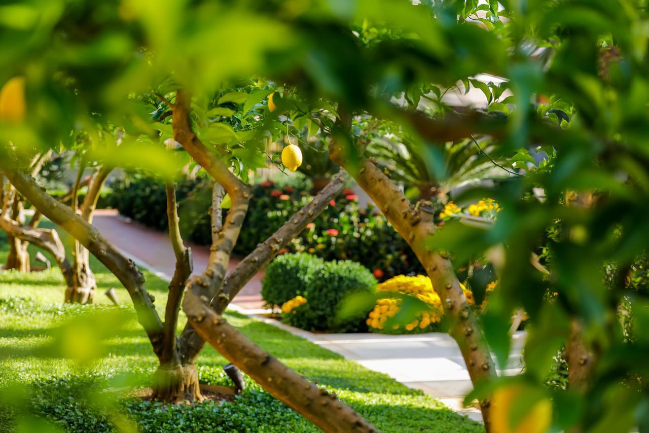 Hotel Lemongarden - Adults Only Sutivan Buitenkant foto