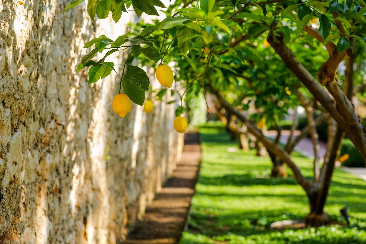 Hotel Lemongarden - Adults Only Sutivan Buitenkant foto